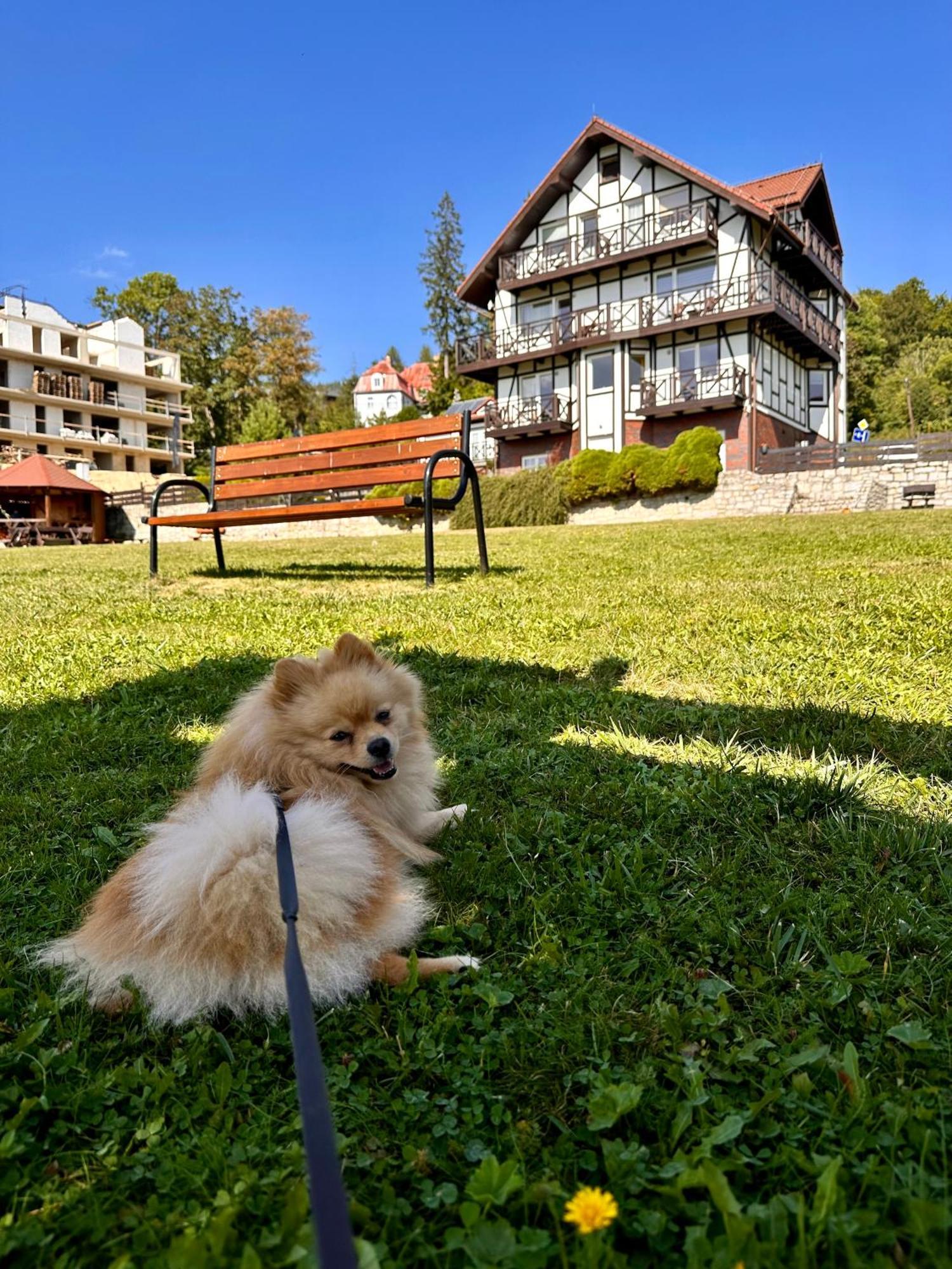 Ferienwohnung U Jozka Schreiberhau Exterior foto